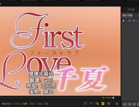 里番资源分享-First Love（无码）