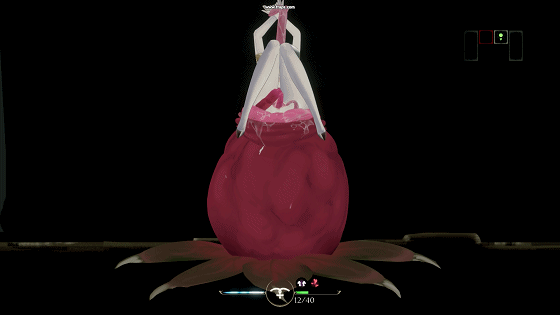 z3.gif